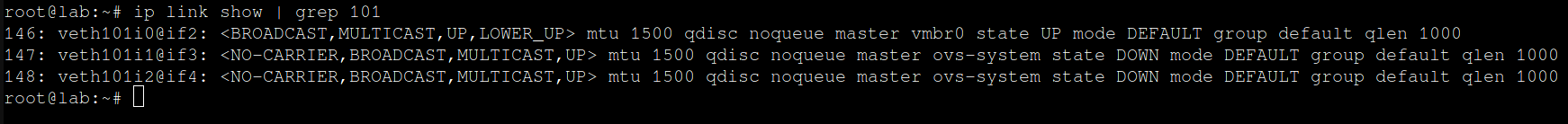 Suricata Proxmox link